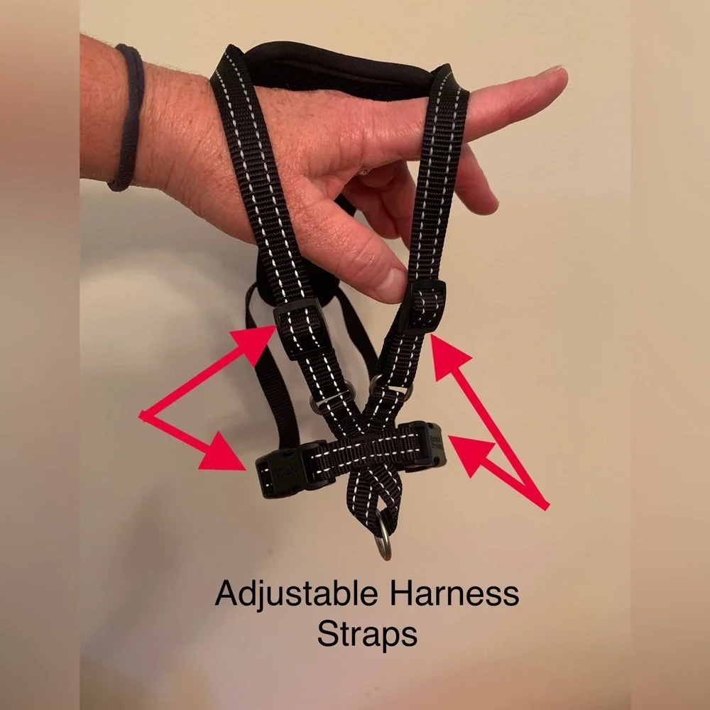 Adjustable Pet Harness by Boots and Barkley in Size Small